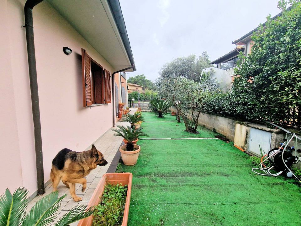 Villa i Gavorrano, Grosseto - foto 3