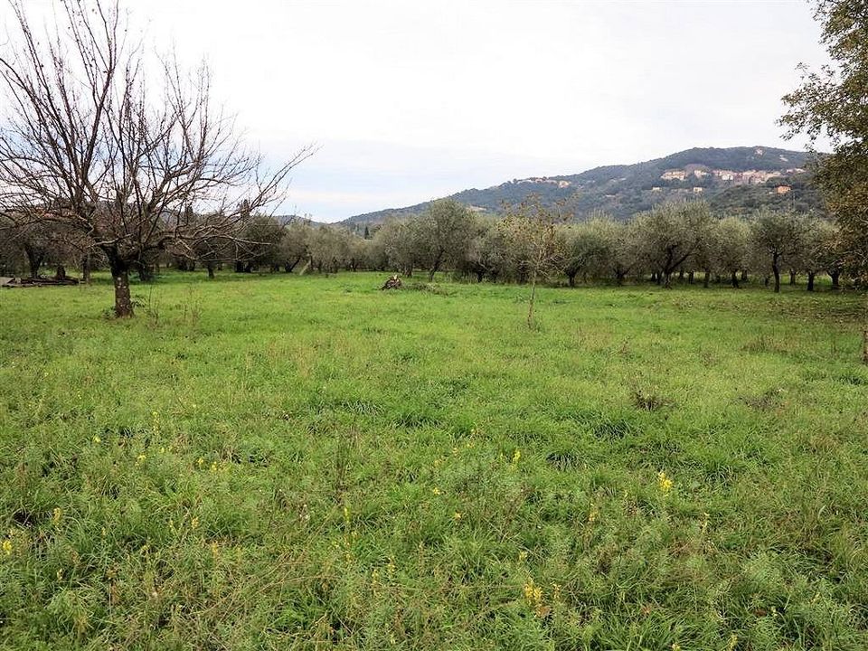 Landejendom i Gavorrano, Grosseto - foto 3