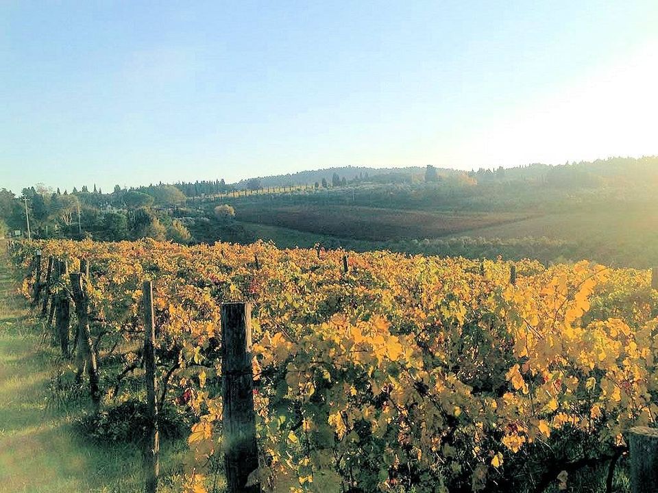 Landejendom i Grosseto, Grosseto - foto 1