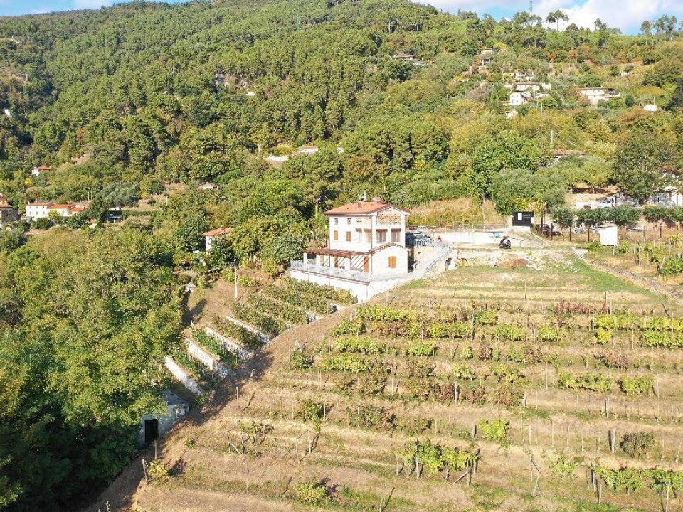 Villa i Pietrasanta, Lucca - foto 4