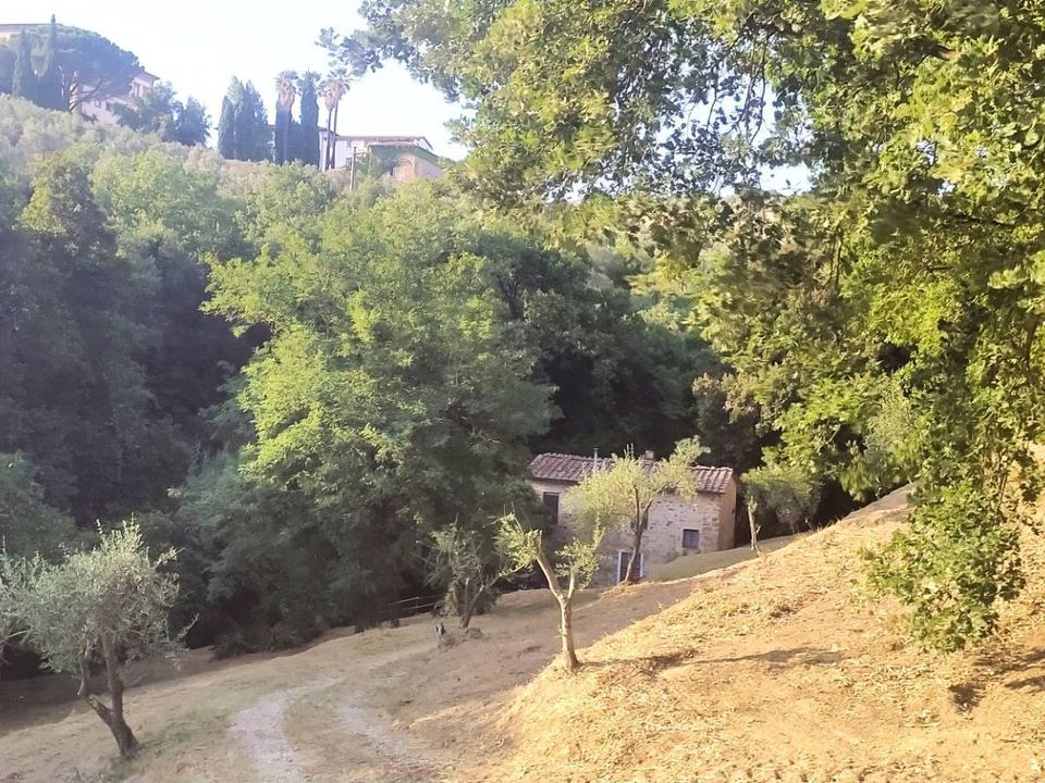 Landejendom i Lamporecchio, Pistoia - foto 2