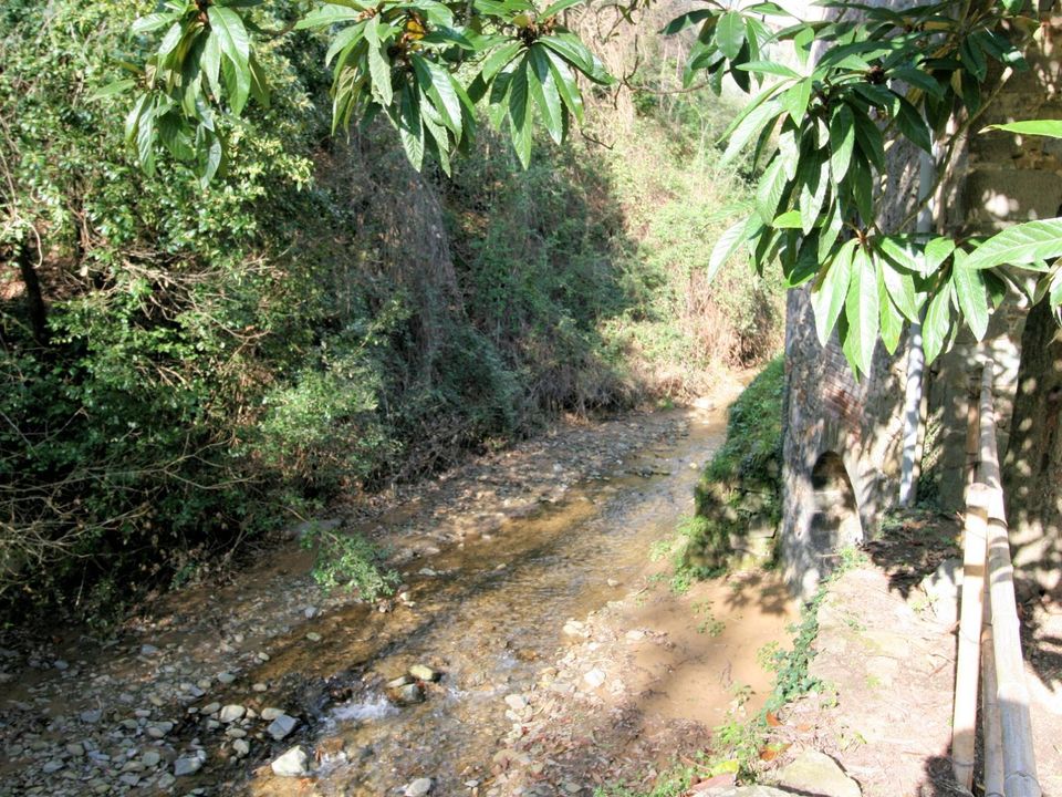Landejendom i Lamporecchio, Pistoia - foto 4
