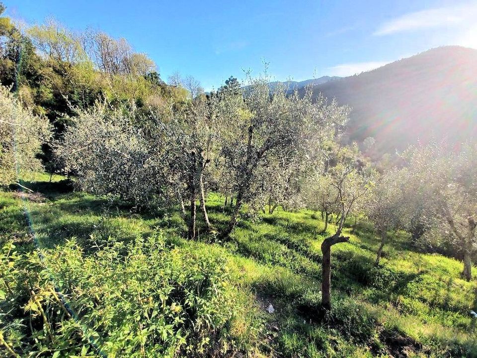 Casa de campo en Pescia, Pistoia - foto 4