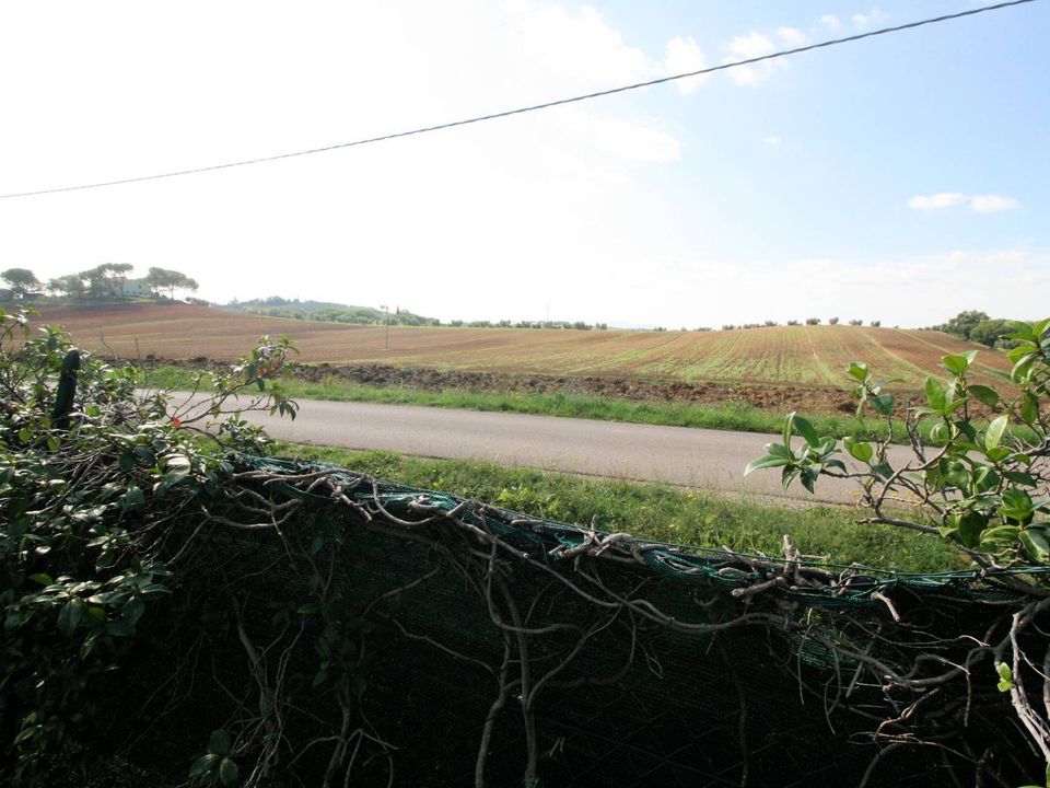 Landejendom i Roccastrada, Grosseto - foto 5