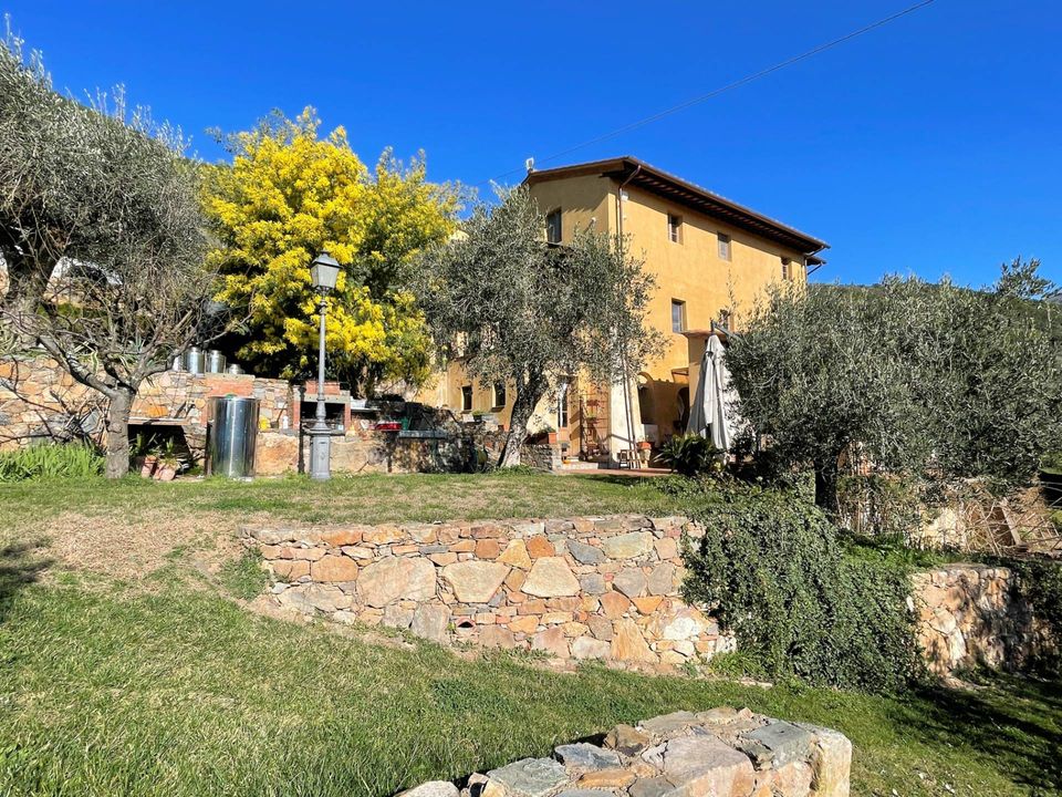 Landejendom i Calci, Pisa - foto 1