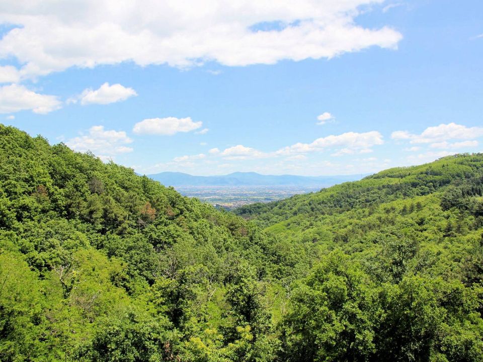 Landejendom i Monsummano Terme, Pistoia - foto 2