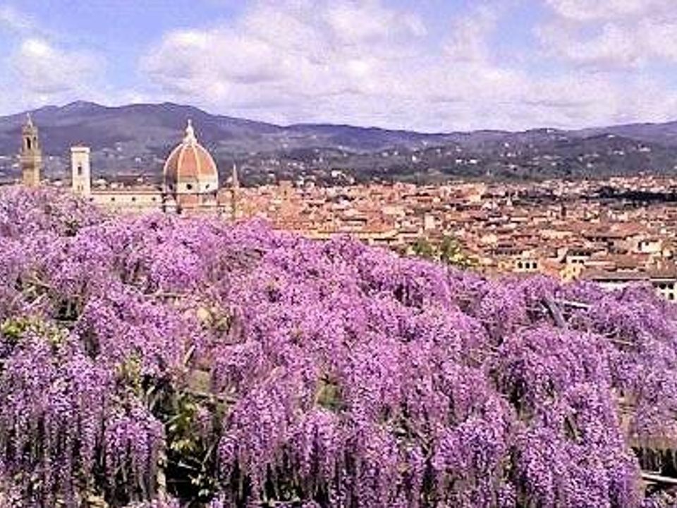 Lejlighed i Florence, Florence - foto 4