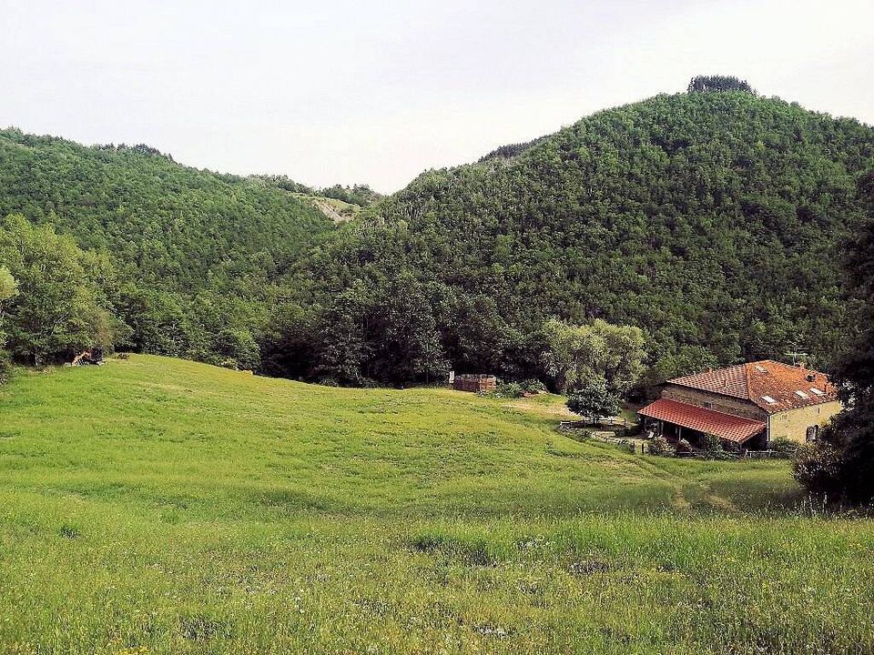 Landejendom i Pratovecchio Stia, Arezzo - foto 4