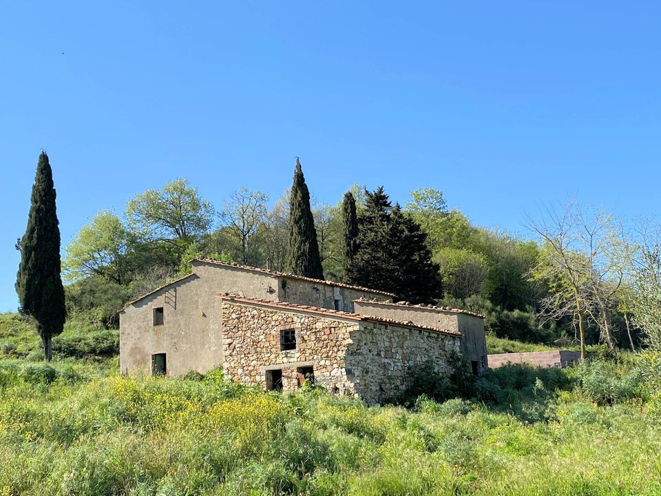 Herregård i Monteverdi Marittimo, Pisa - bilde 5