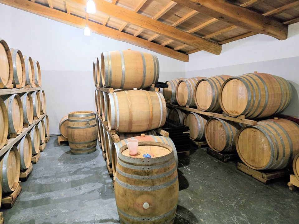 Herregård i Scansano, Grosseto - bilde 3