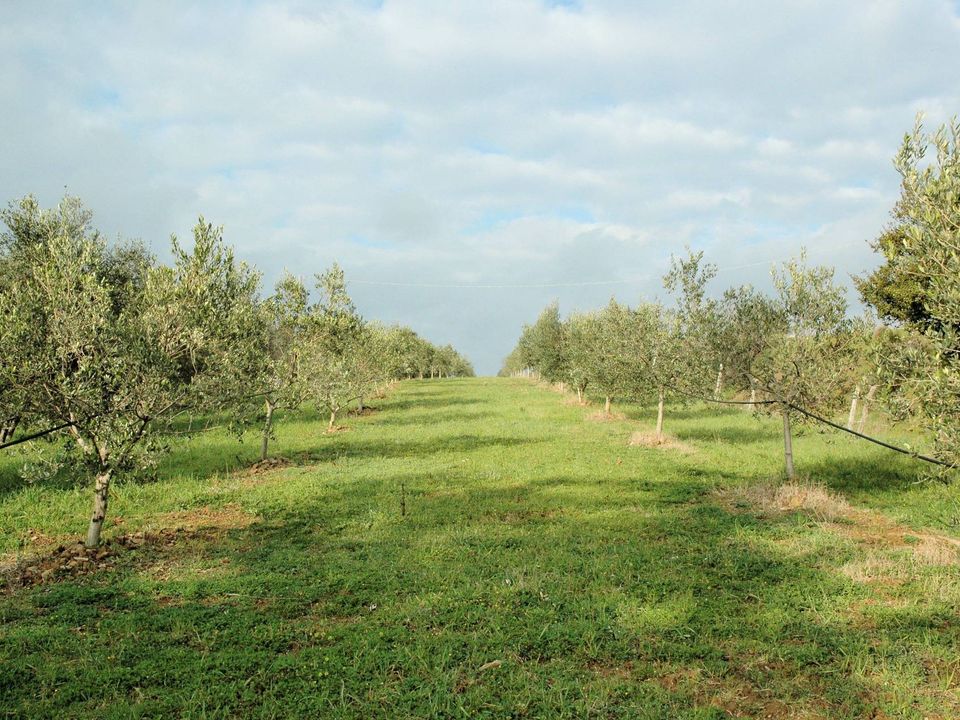 Landejendom i Grosseto, Grosseto - foto 3