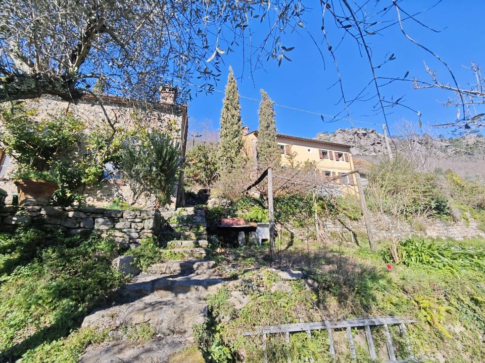 Herregård i Buti, Pisa - bilde 2