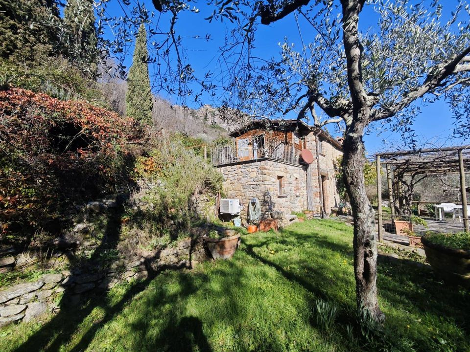 Herregård i Buti, Pisa - bilde 3