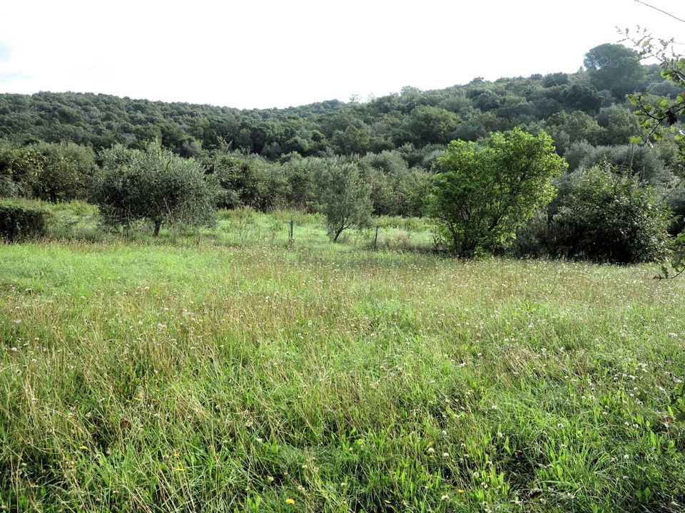 Villa i Scarlino, Grosseto - foto 3