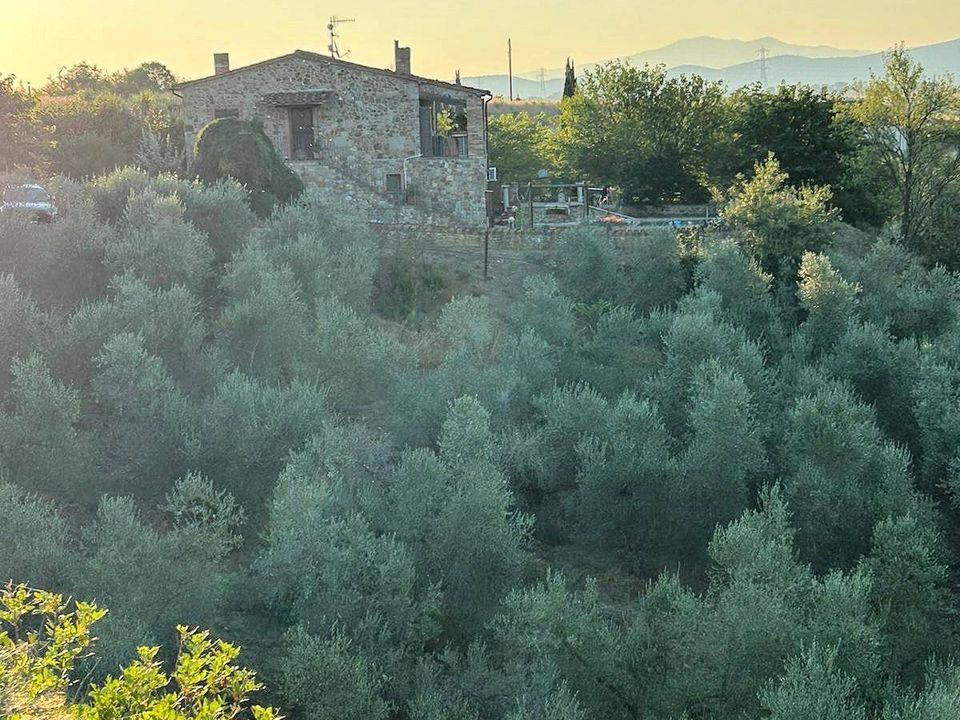 Landejendom i Roccastrada, Grosseto - foto 3
