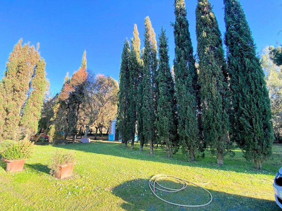 Herregård i Rosignano Marittimo, Livorno - bilde 4