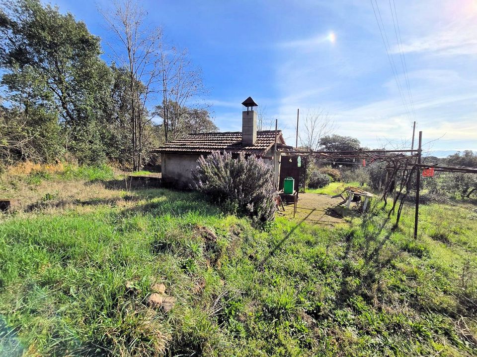 Landejendom i Roccastrada, Grosseto - foto 1