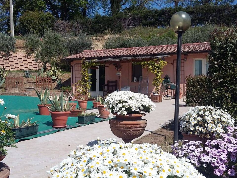 Villa i Civitanova Marche, Macerata - foto 5