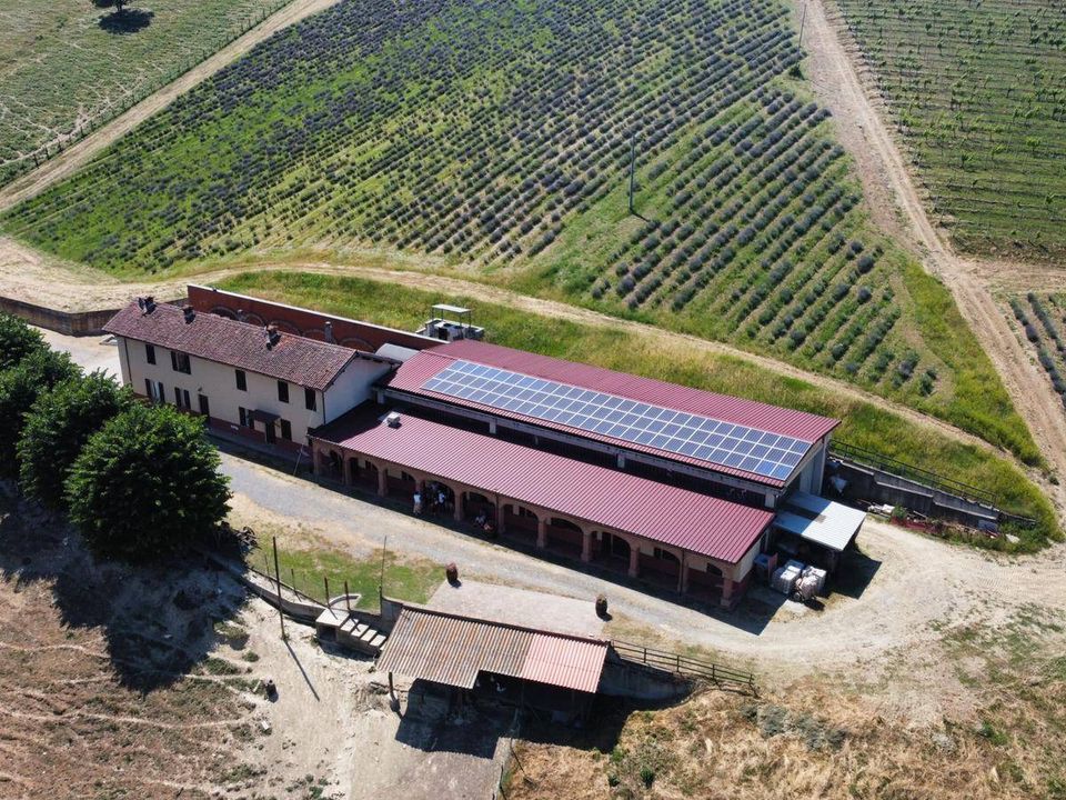 Farm i Carpeneto, Alessandria - foto 1