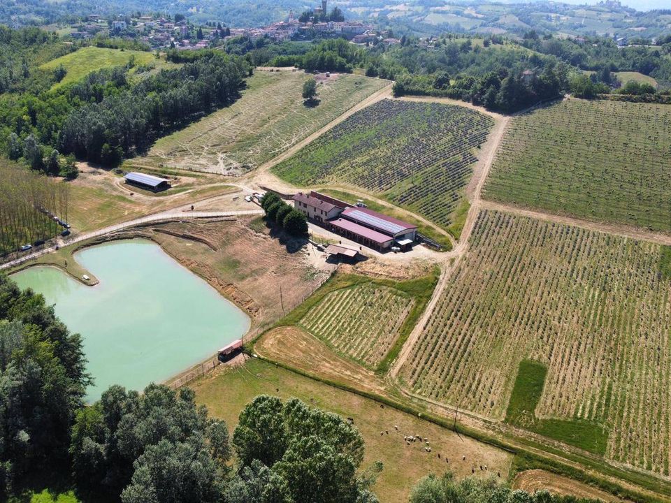 Farm i Carpeneto, Alessandria - foto 2