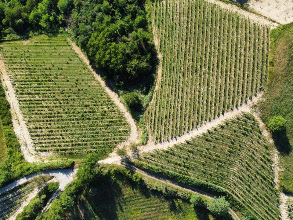 Farm i Carpeneto, Alessandria - foto 5
