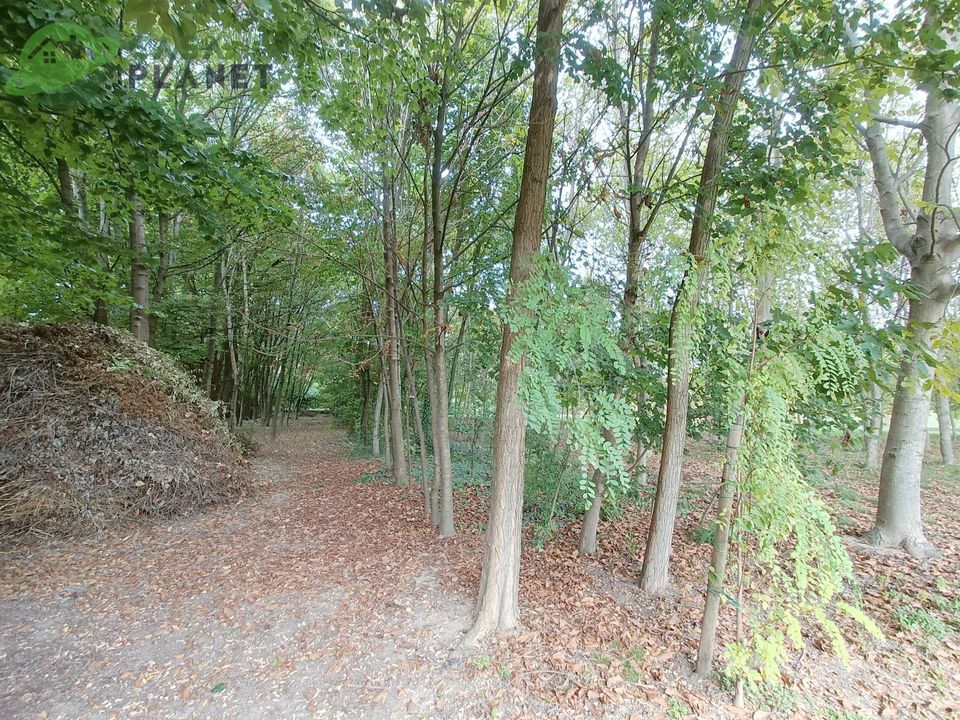 Villa i Zoppola, Pordenone - foto 4