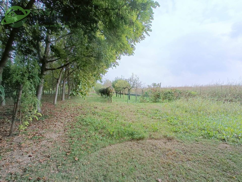 Villa i Zoppola, Pordenone - foto 5