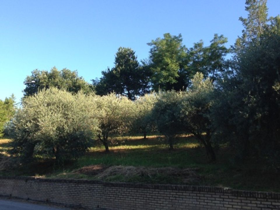 Helårsgrund i Montegiorgio, Fermo - foto 1