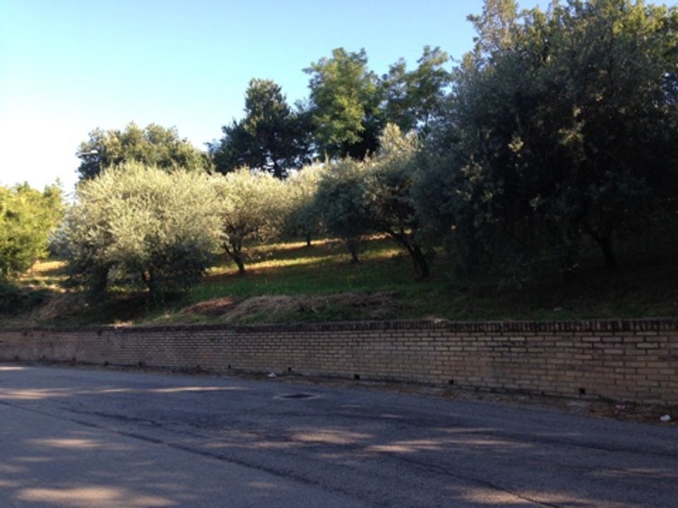 Helårsgrund i Montegiorgio, Fermo - foto 3