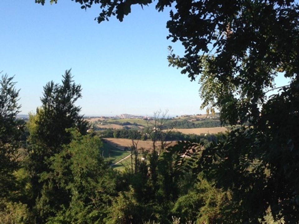 Helårsgrund i Montegiorgio, Fermo - foto 5
