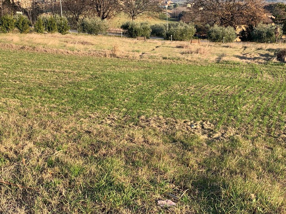 Helårsgrund i Magliano di Tenna, Fermo - foto 3