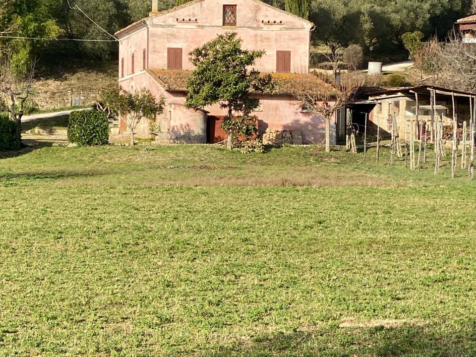 Villa i Falerone, Fermo - bilde 3