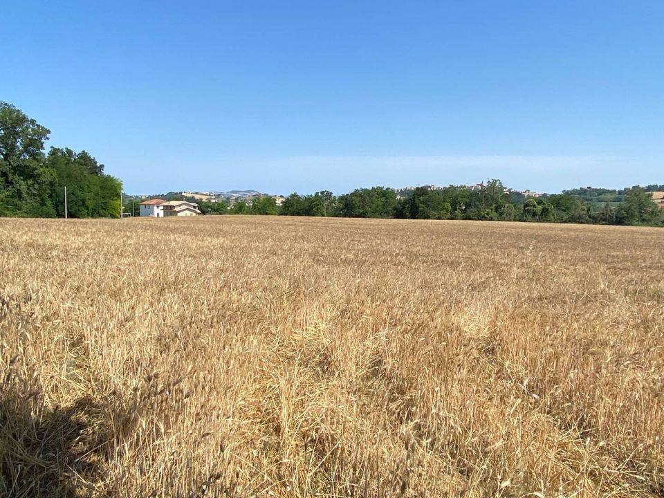 Helårsgrund i Magliano di Tenna, Fermo - foto 1