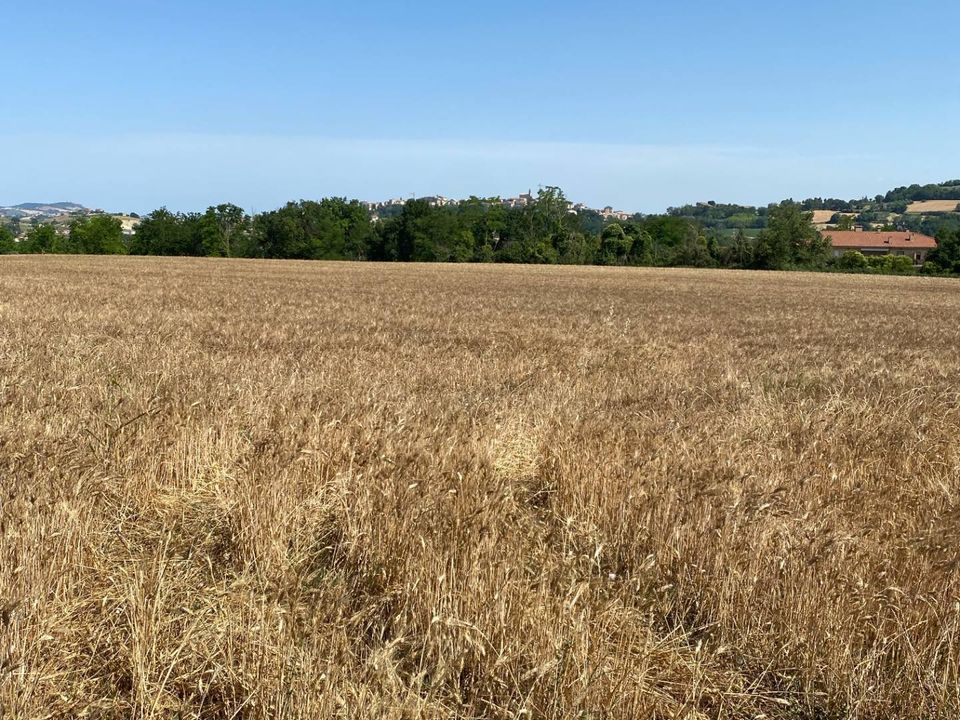 Helårsgrund i Magliano di Tenna, Fermo - foto 2