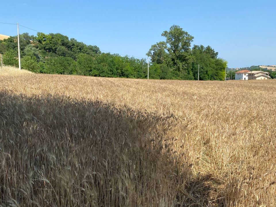 Helårsgrund i Magliano di Tenna, Fermo - foto 3