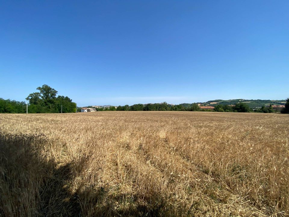 Helårsgrund i Magliano di Tenna, Fermo - foto 4