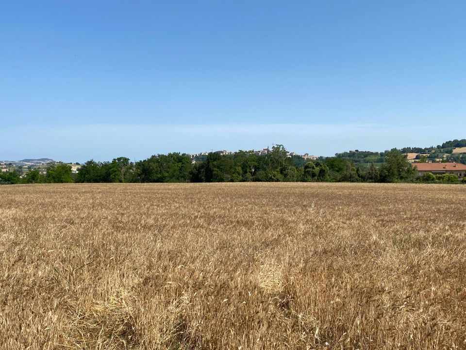 Helårsgrund i Magliano di Tenna, Fermo - foto 5