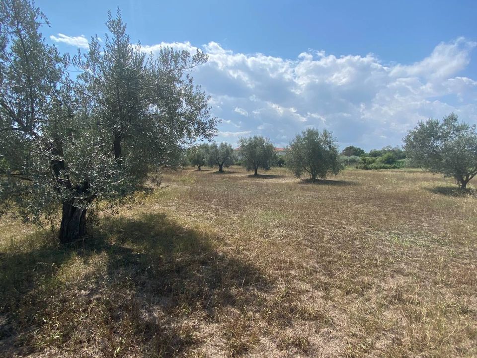 Tomt i Fermo, Fermo - bilde 1