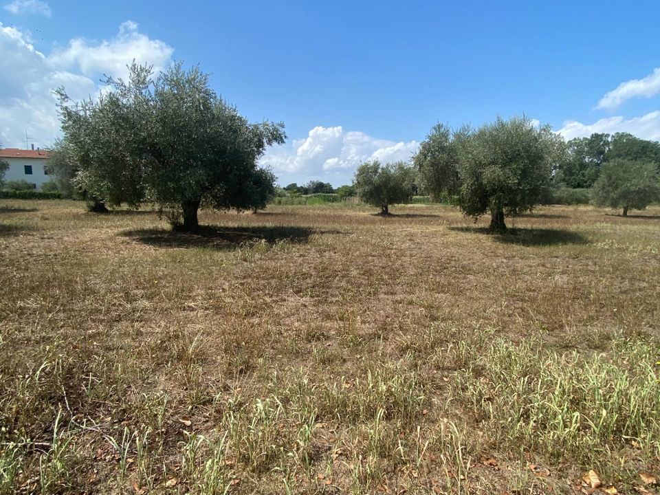Tomt i Fermo, Fermo - bilde 3