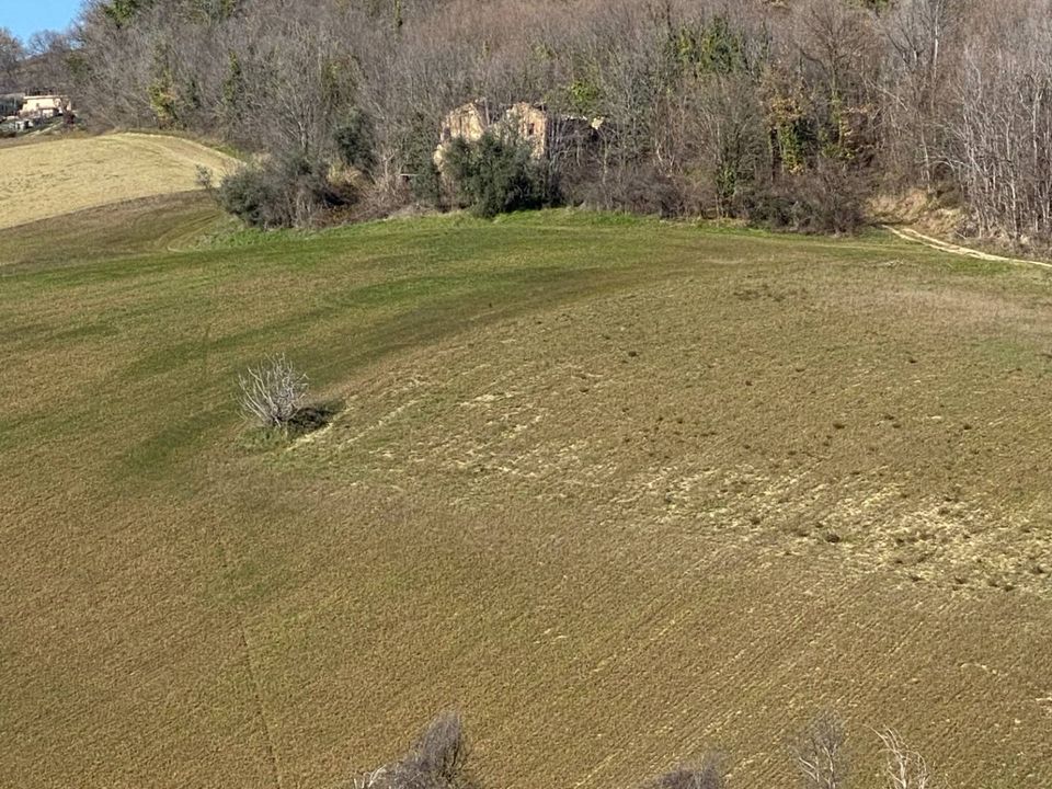 Villa i Montegiorgio, Fermo - foto 1