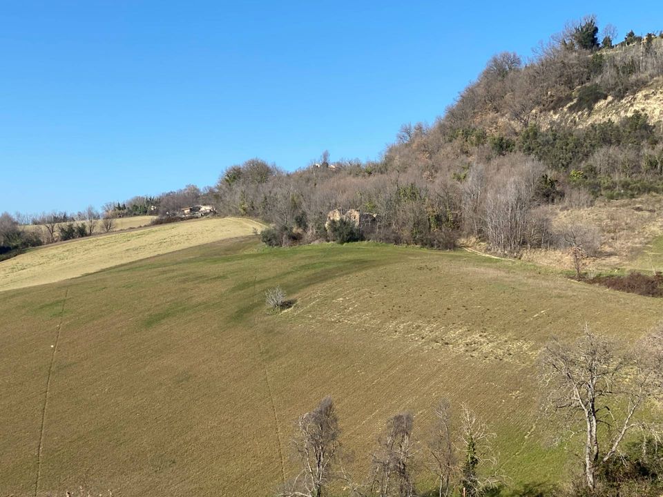 Villa i Montegiorgio, Fermo - foto 3