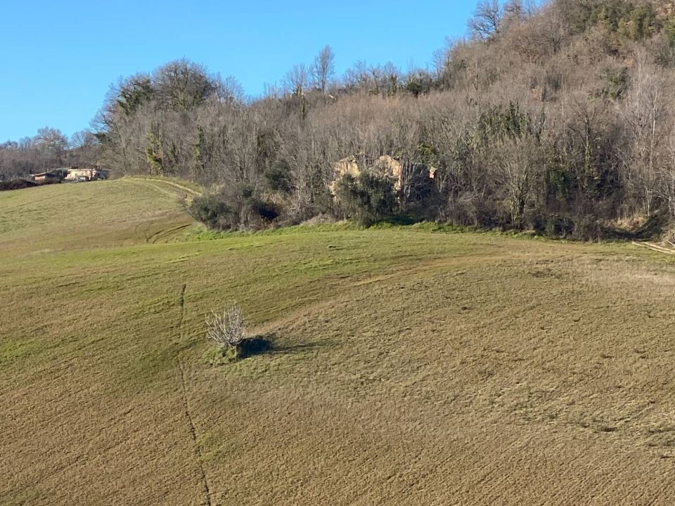Villa i Montegiorgio, Fermo - foto 4