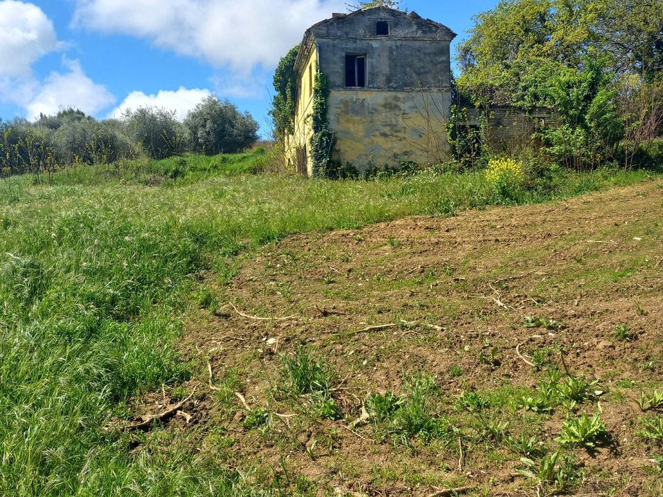 Villa i Montegiorgio, Fermo - foto 5