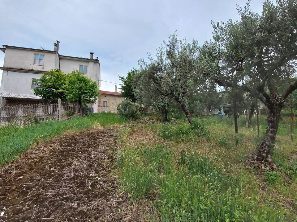 Villa i Massa Fermana, Fermo - foto 3
