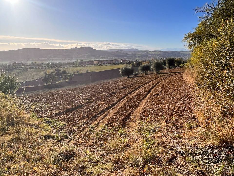 Helårsgrund i Monte Urano, Fermo - foto 3