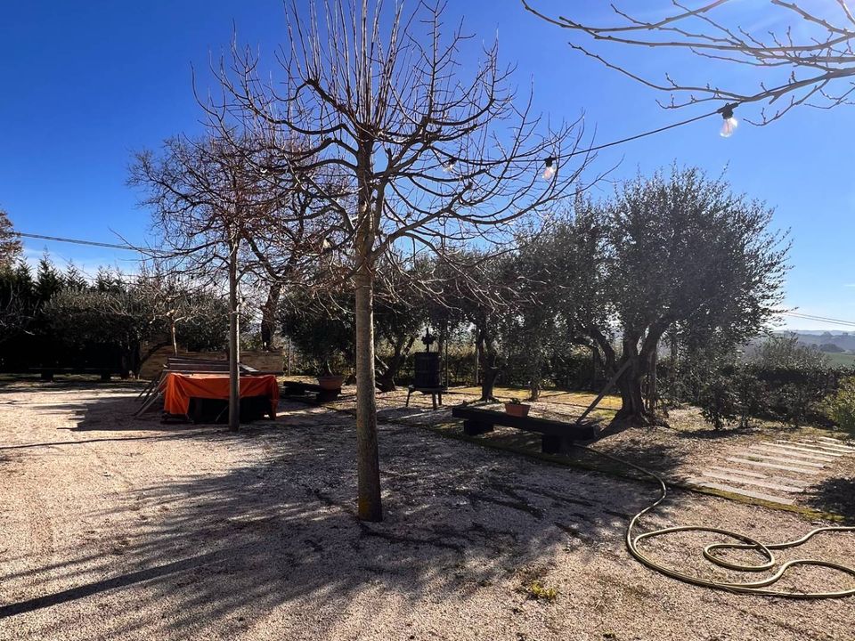 Erhvervsejendom i Recanati, Macerata - foto 4