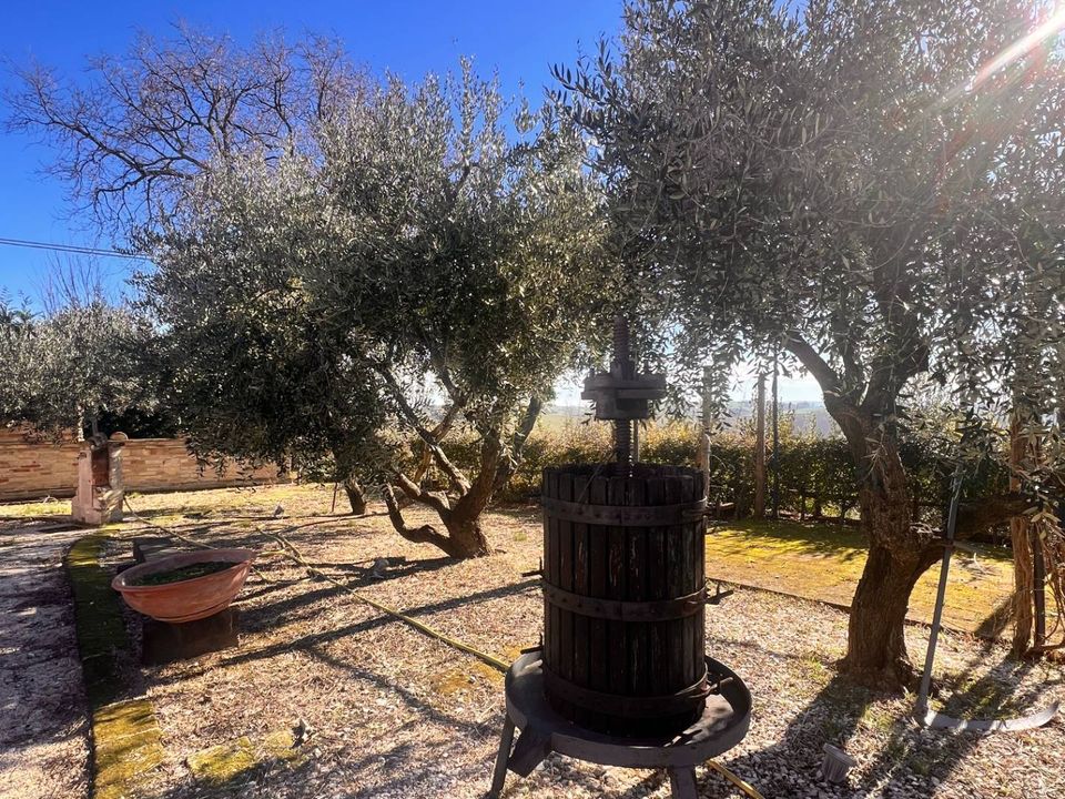 Erhvervsejendom i Recanati, Macerata - foto 5
