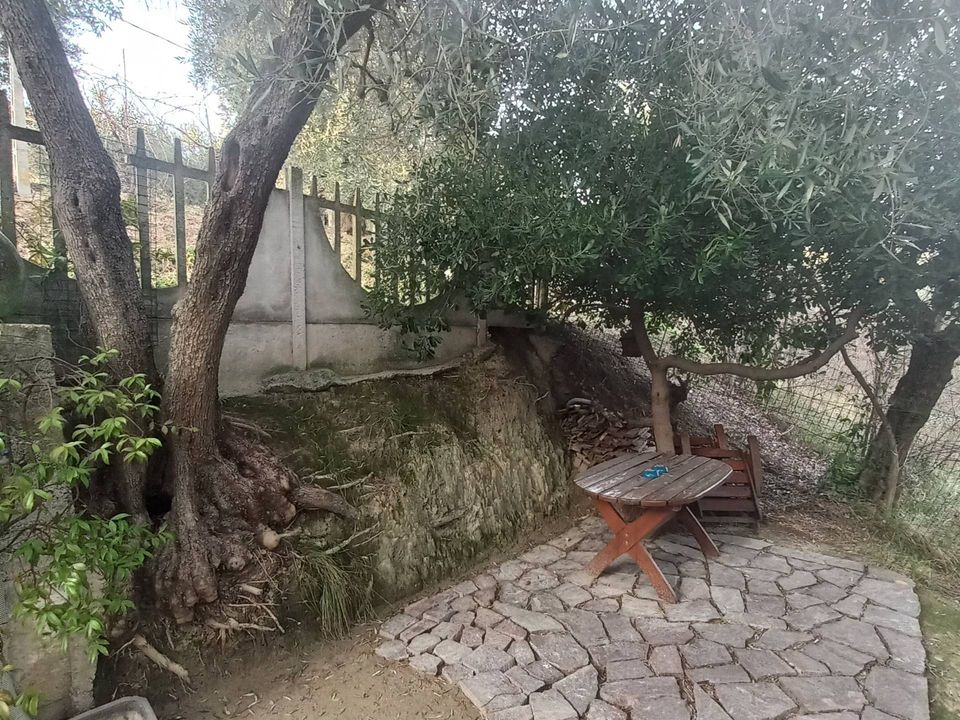 Villa i Monte Giberto, Fermo - foto 3
