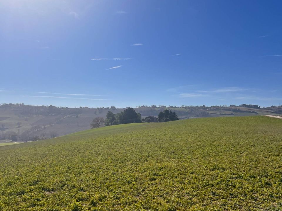 Helårsgrund i Recanati, Macerata - foto 3
