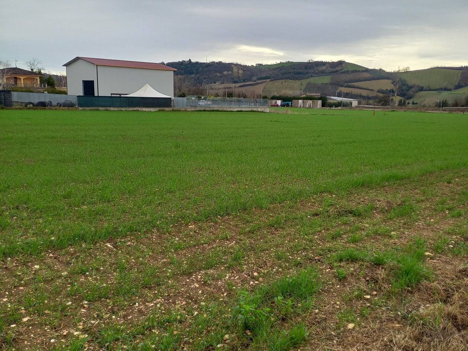 Helårsgrund i Falerone, Fermo - foto 3
